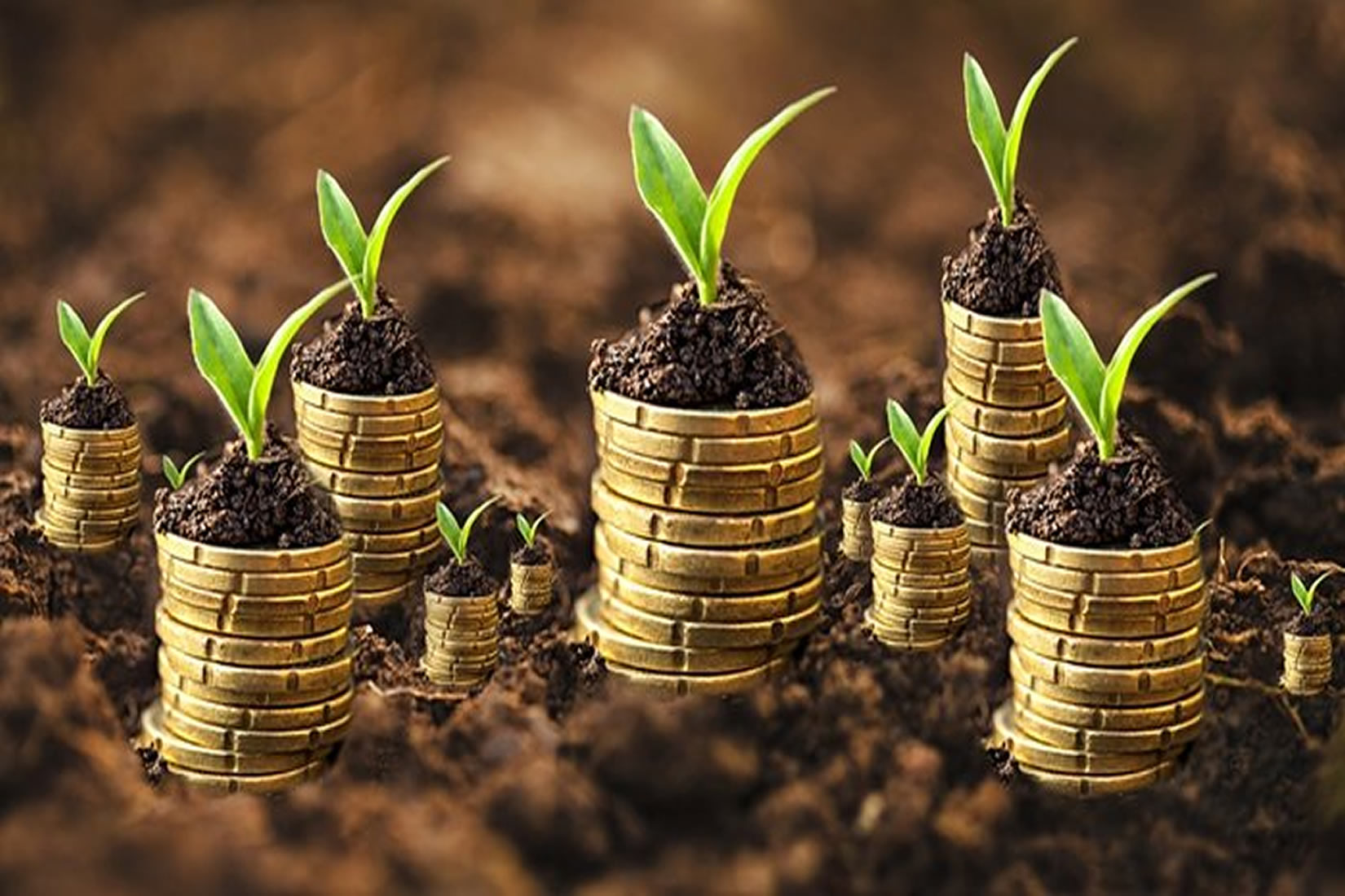 Lets help you GROW your CREDIT